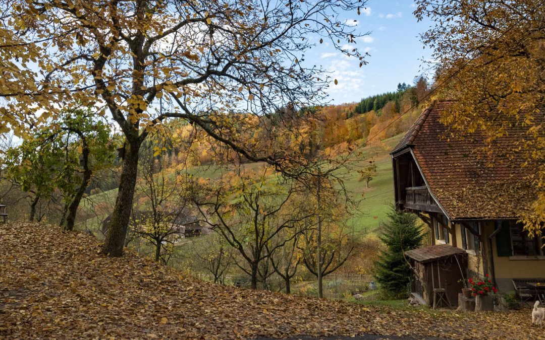 Der Herbst ist in vollem Gange